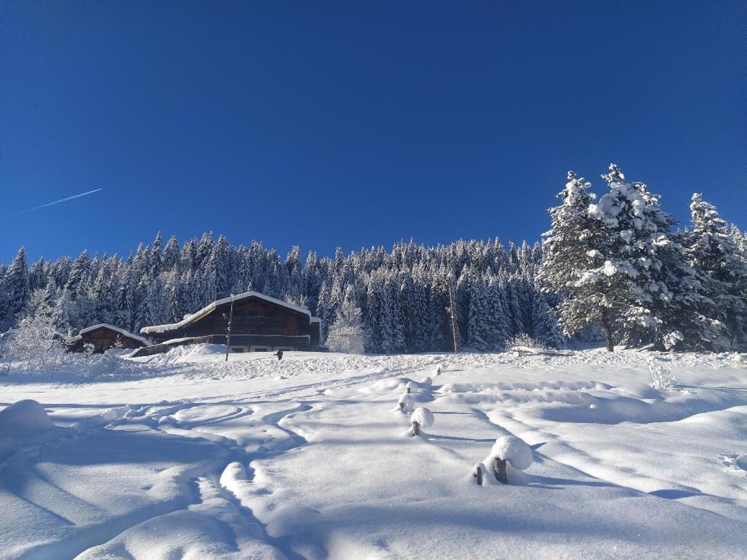 Chalet Lisa Morzine Zewnętrze zdjęcie